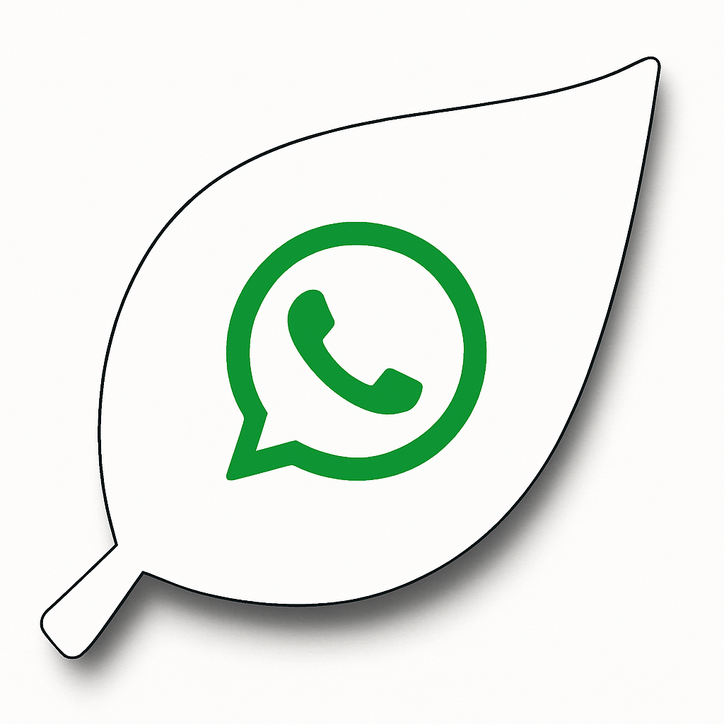 WhatsApp Icon